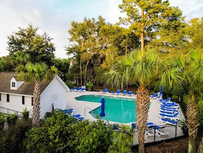 Una piscina con sillas reclinables azules y palmeras.