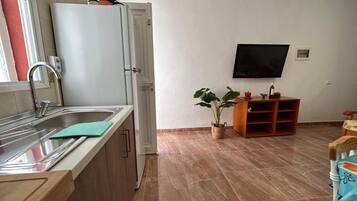 Keittiössä on pesuallas, jääkaappi, ruukkukasvi, televisio ja puinen kaappi.