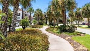 A residential street with palm trees, a sidewalk, and houses. - Pier View-sleeps 10-pets-walk to Beach (Myrtle Beach)