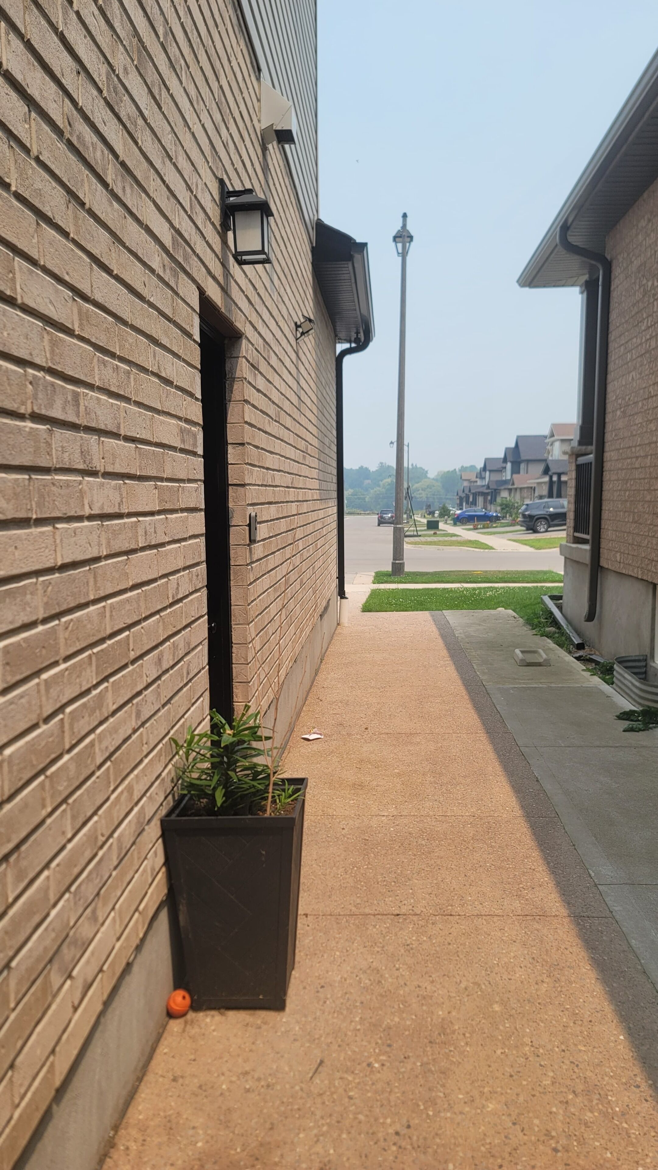 A narrow alleyway with a brick building on one side and a sidewalk on the other. There is a potted plant and a small orange object on the ground.