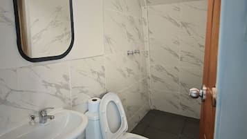 Combined shower/bathtub, towels, soap, shampoo
