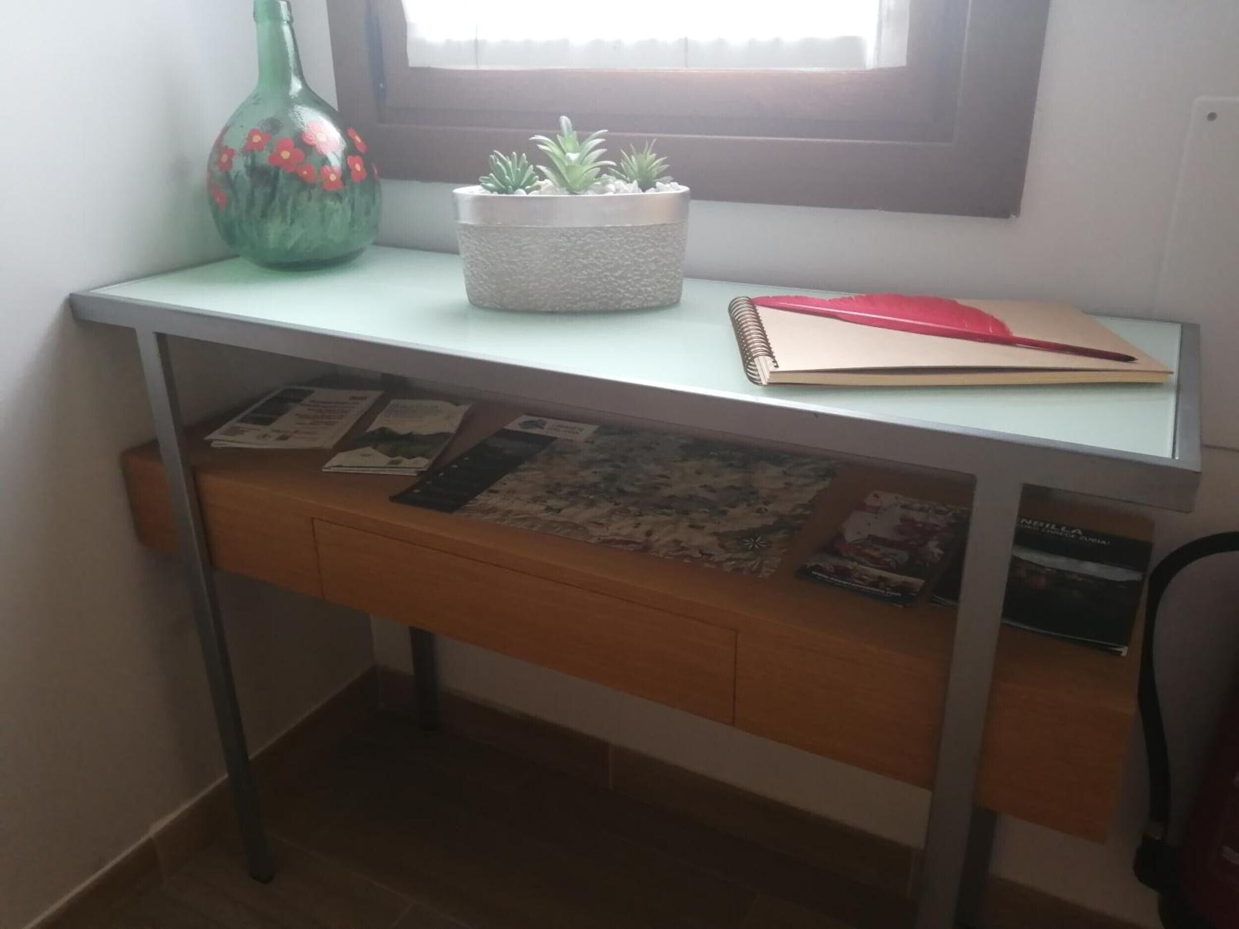 Un escritorio con una planta en maceta, un cuaderno y folletos.