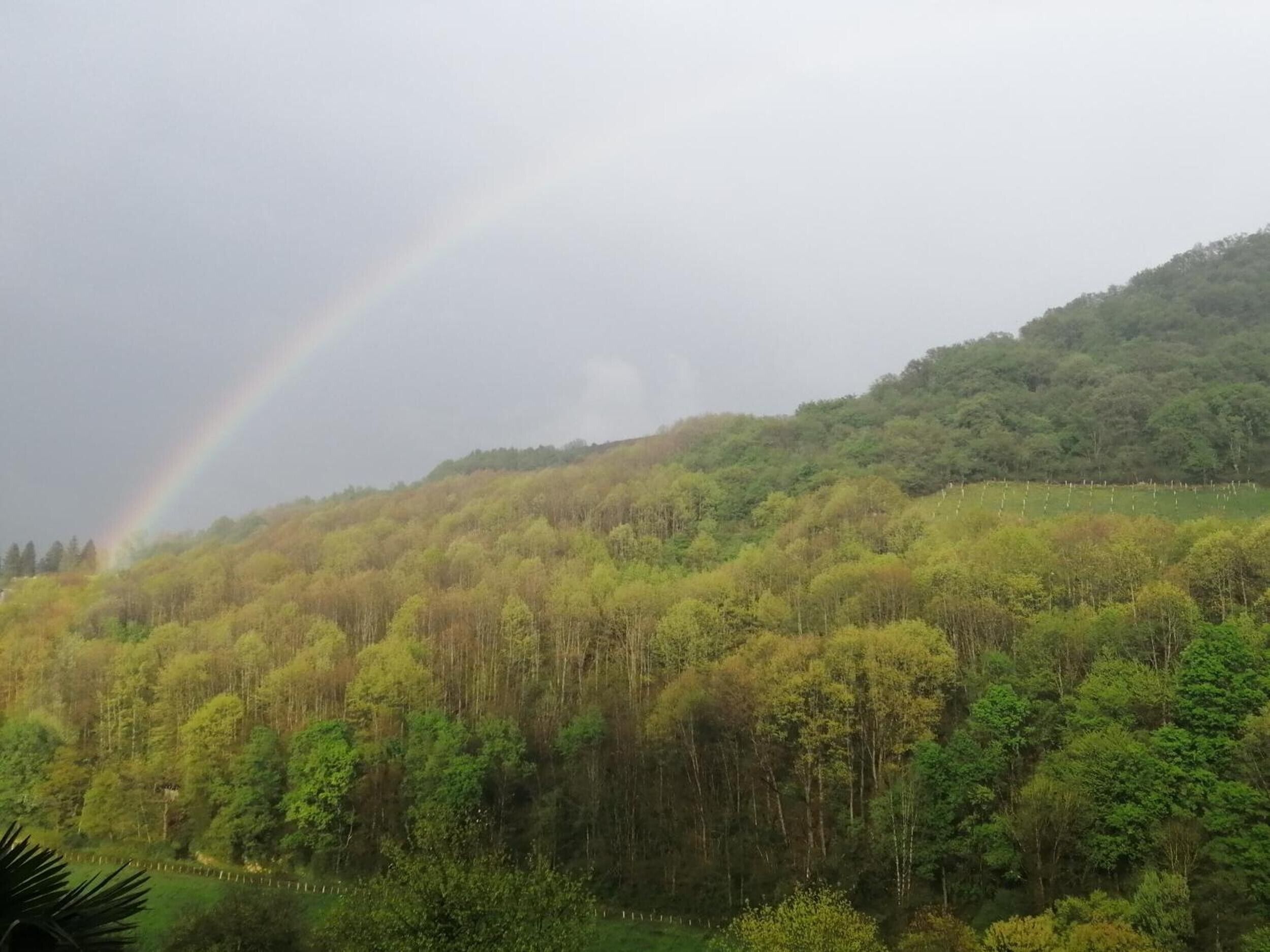 Un paisaje montañoso cubierto de bosque con un arcoíris visible.