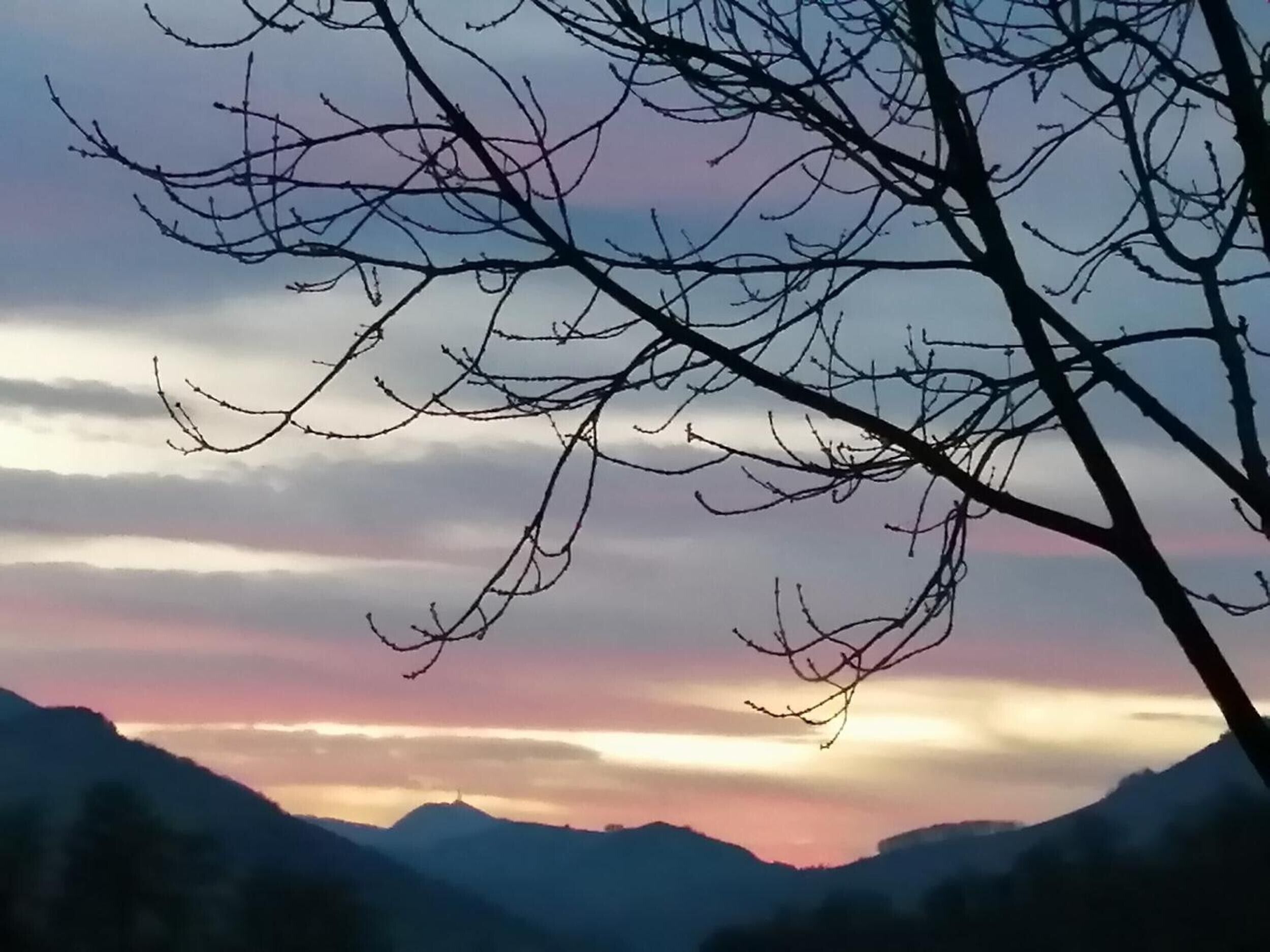Et bjerglandskab med klar himmel og en silhuet af en gren i forgrunden.