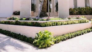 A building with a central palm tree, large windows, and a paved area with plants. - Casa Playa, Las Iguanas CapCana (Punta Cana)