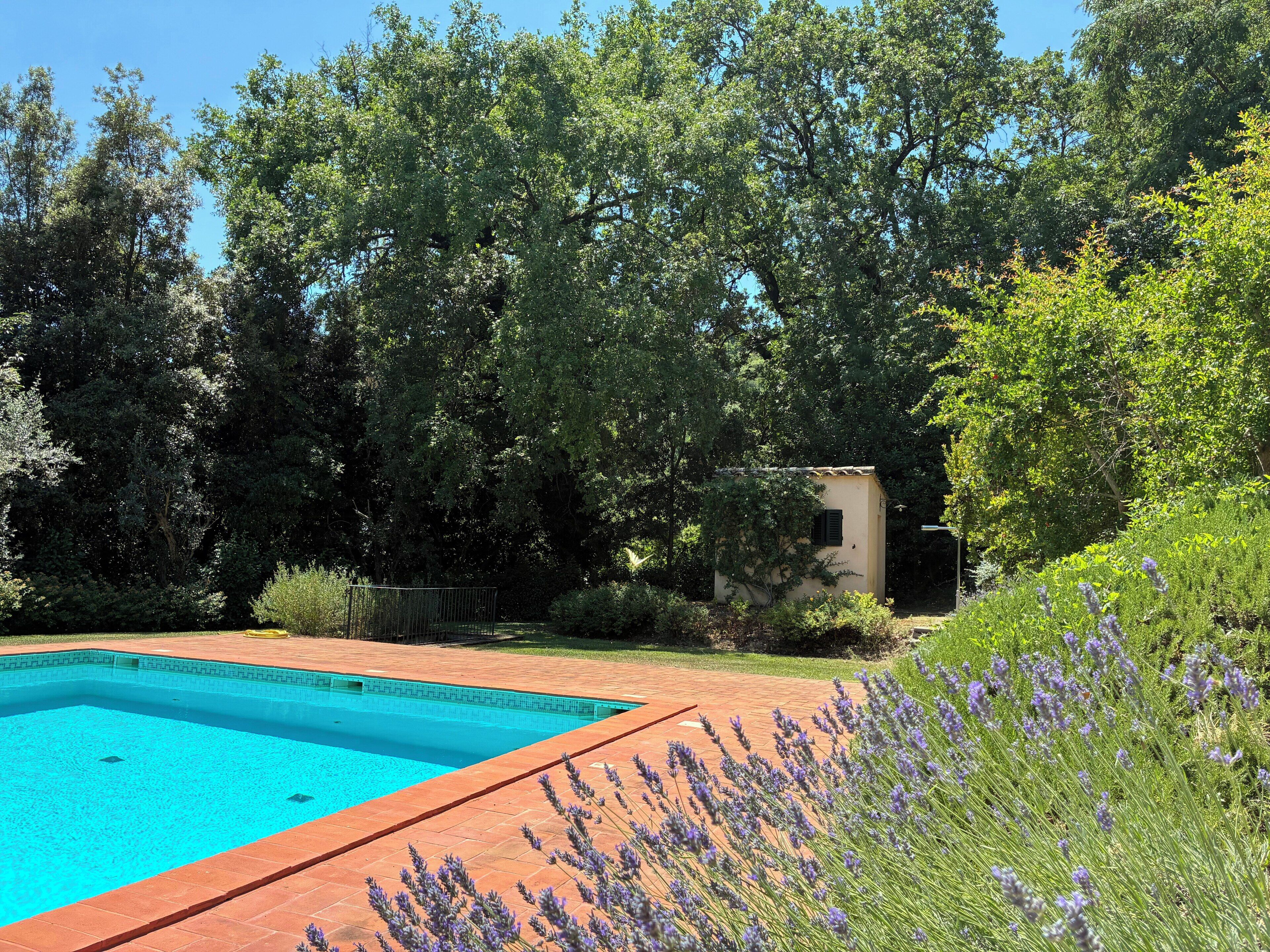 Une piscine dont le bord est revêtu de carreaux, entourée d’une terrasse en briques.