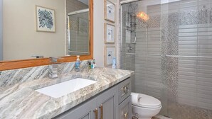 Un baño con encimera de mármol, un lavabo, inodoro, ducha con puerta de cristal y un espejo grande.