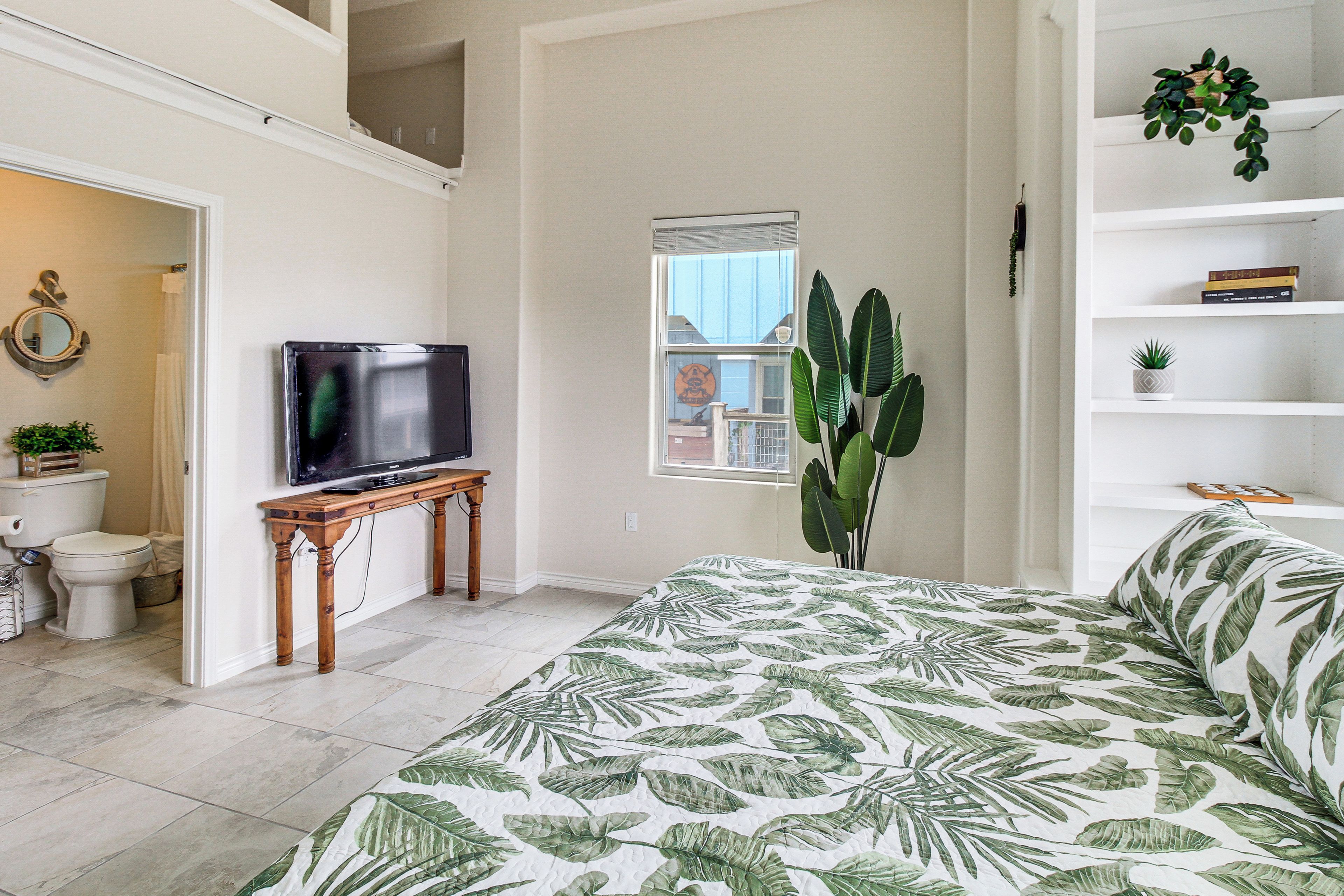 A bedroom with a bed, a television on a wooden table, a large plant, a window, and a bookshelf.