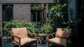 A patio with two wooden chairs and a small table, surrounded by lush green plants and a brick wall. - Escandon Apt: Private Patio & Steps to Condesa (Mexico City)