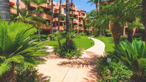 Pátio de hotel com palmeiras, um caminho de pedras e um edifício com varandas.
