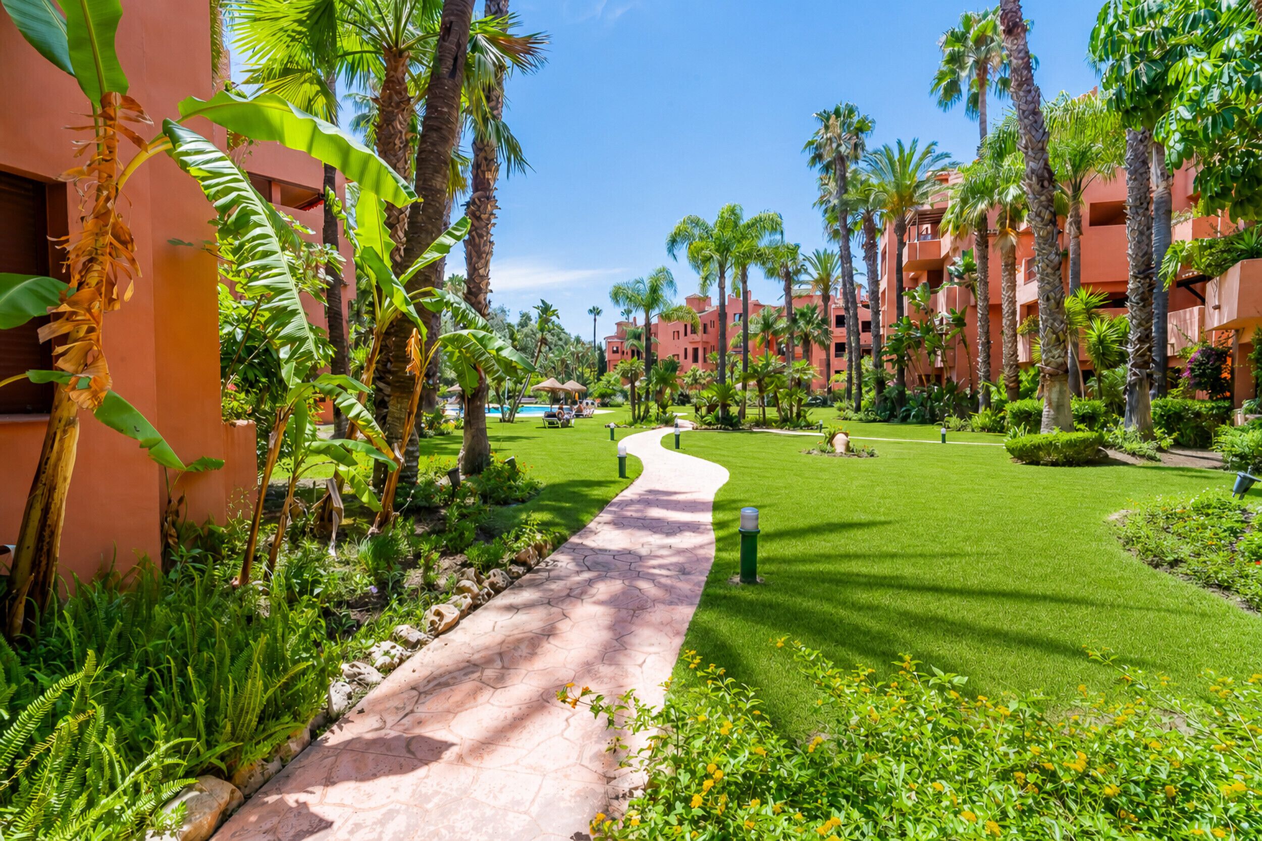 A pathway leading to a pool, surrounded by palm trees and a building with balconies.