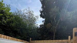 Een hottub met een houten terras eromheen, met op de achtergrond bomen en een heldere lucht.