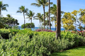 Tropical paradise surrounds the property with swaying palms, lush gardens, and ocean views creating a serene Hawaiian escape. - Dive into paradise at Honua Kai - Konea 102 (Lahaina)