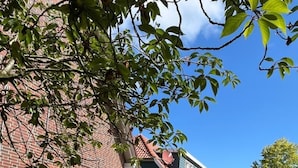 Ein Ziegelhaus mit Holzzaun, einem gepflasterten Weg und blauem Himmel.