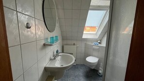 Een compacte badkamer met dakraam, wastafel, toilet en spiegel.