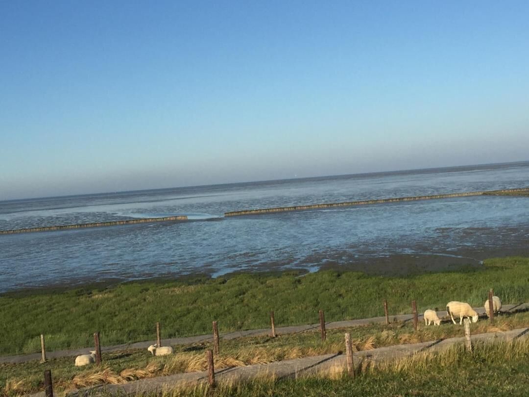 A coastal landscape with a grassy area, a body of water, and a wooden structure.
