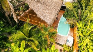 A thatched-roof structure with a pool, surrounded by lush tropical vegetation. - Cabinas Playa Surf Hostel (Cobano)
