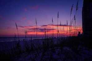 A coastal sunset with tall grasses in the foreground. - Steps to Beach, Zen balcony, Pier Park & more (Panama City Beach)