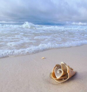 A beach with waves and a seashell on the sand. - Beachfront Condo, Gulf View, Balcony, Beach Chairs, Heated Pool, Jacuzzis (Panama City)