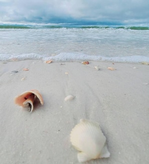 A beach with scattered seashells and waves in the background. - Beachfront Condo, Gulf View, Balcony, Beach Chairs, Heated Pool, Jacuzzis (Panama City)