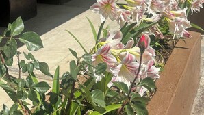 Un mur de pierre, un banc en bois et un jardinier avec des fleurs.