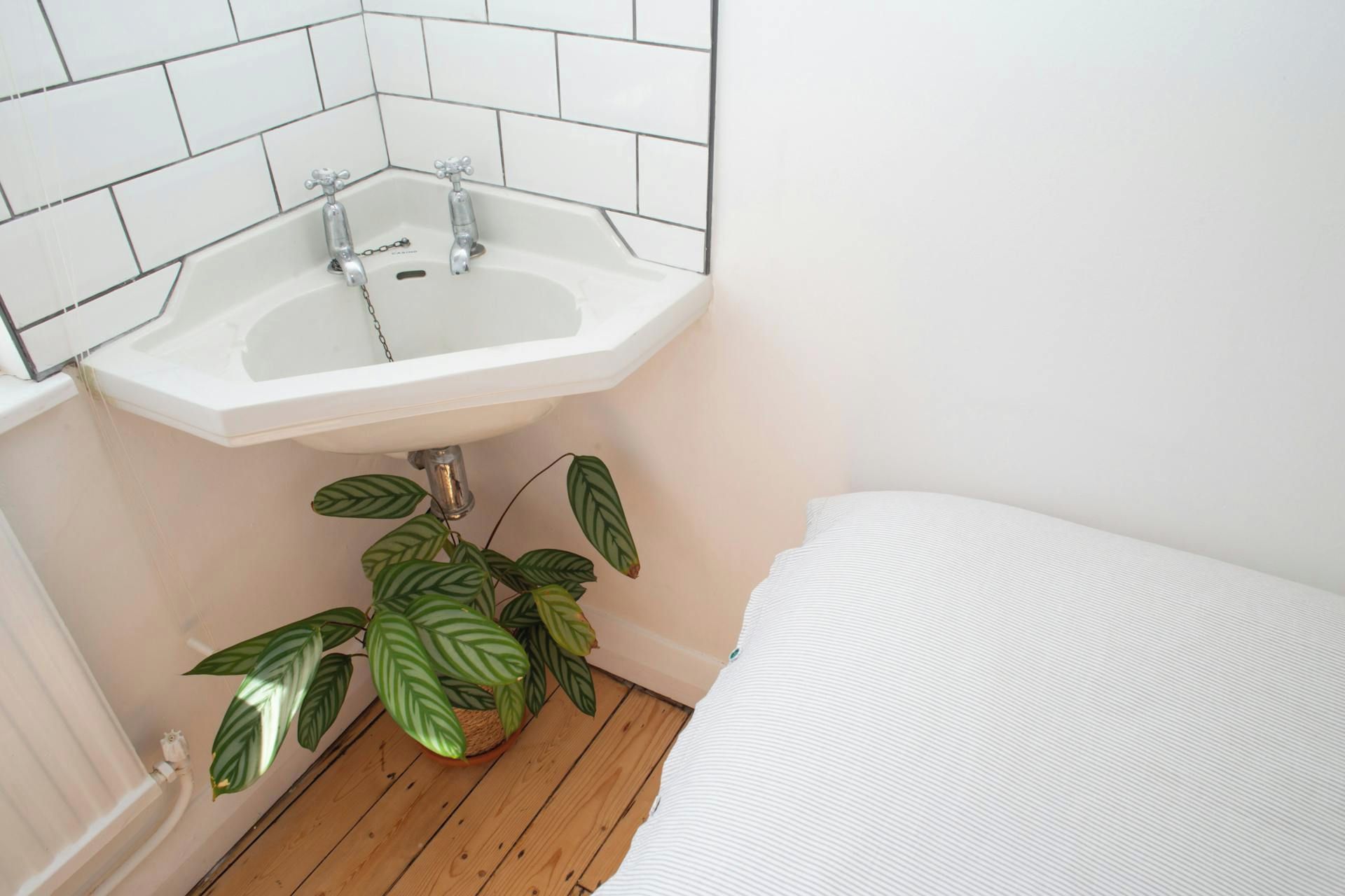 A bathroom with a white sink, a potted plant, and a white bed.