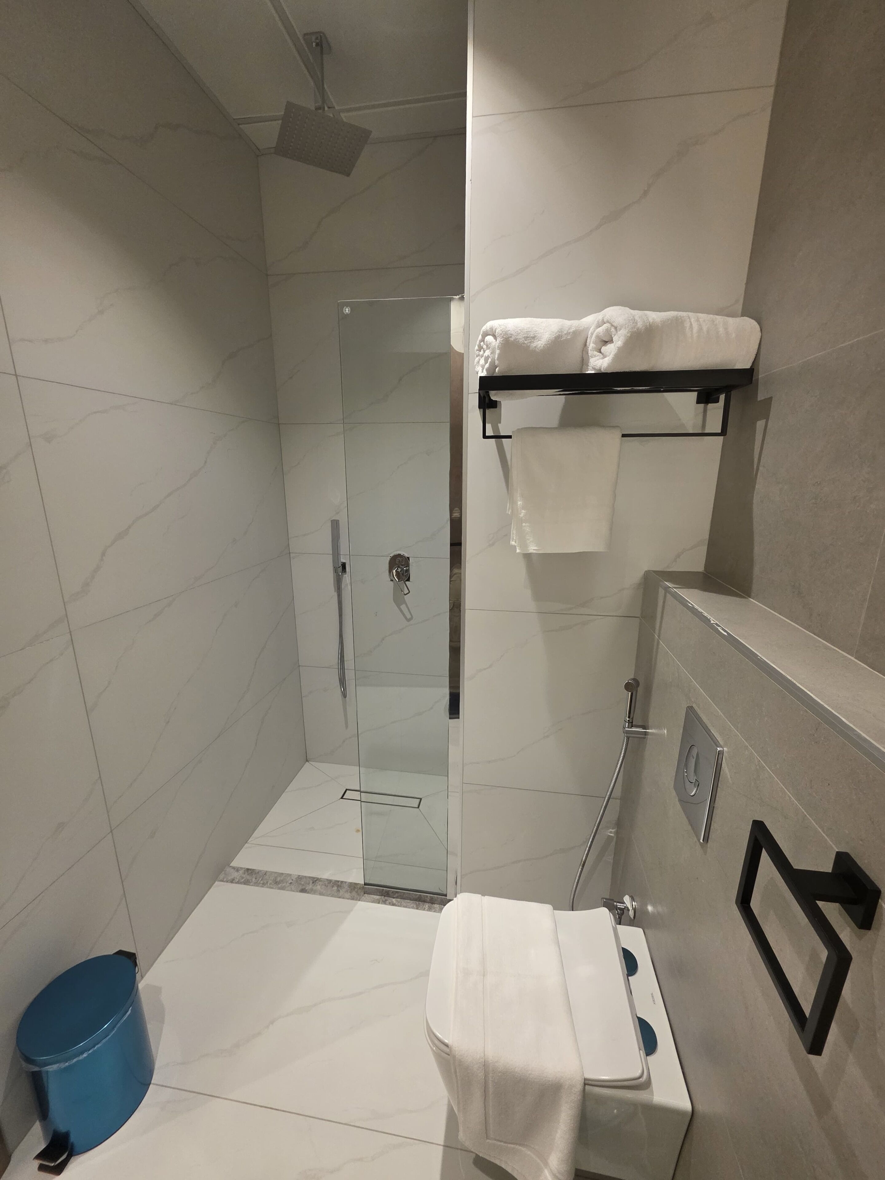 A bathroom with a shower, toilet, and towel rack.