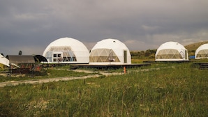 Unclassified image, 2 of 24, button - Nomad Space (Bar-Bulak)