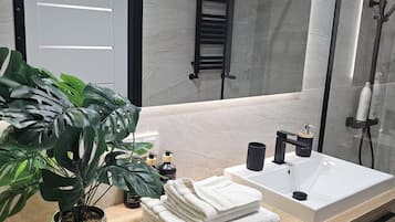 Shower, hair dryer, towels