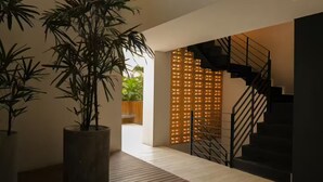 Un interior moderno con una escalera, una planta grande en maceta y piso de madera.