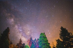 A night sky filled with stars and the Milky Way, with trees silhouetted against the sky.