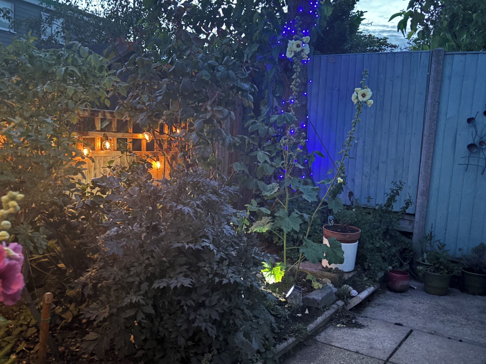 A garden with a wooden fence, potted plants, and a house with warm lighting in the background.