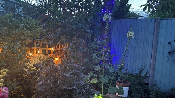 A garden with a wooden fence, potted plants, and a house with warm lighting in the background.