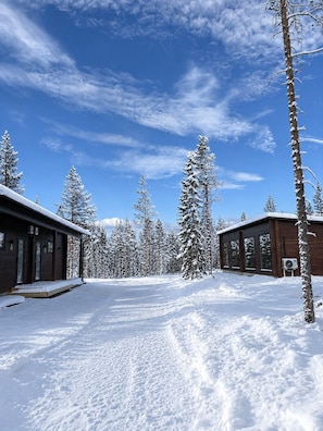 A snow-covered lodge with a clear sky, surrounded by tall evergreen trees.