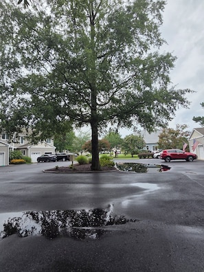 A residential street with a large tree in the center, houses on both sides, and parked cars. - Homey 3-bedroom condo in cul-de-sac in Bethany Beach golf community (Bethany Beach)