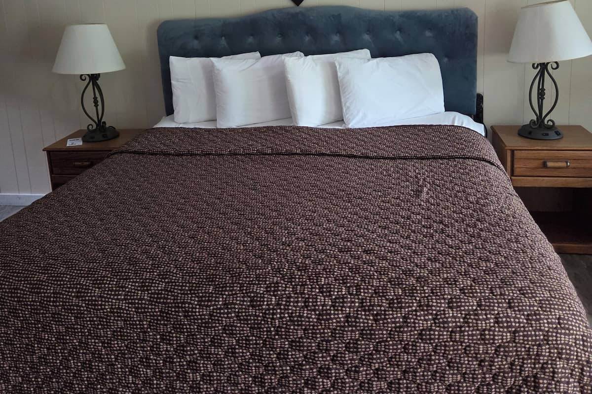 Room, 1 King Bed