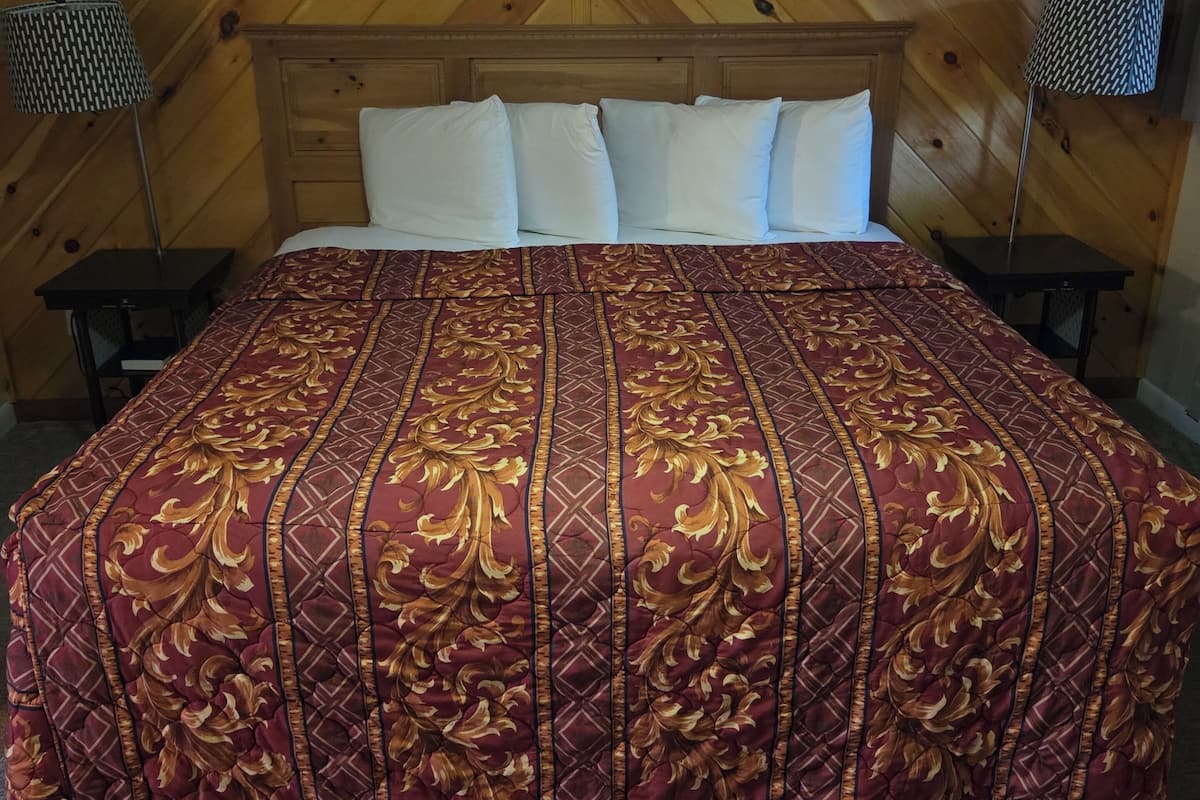 Single Room, 1 King Bed