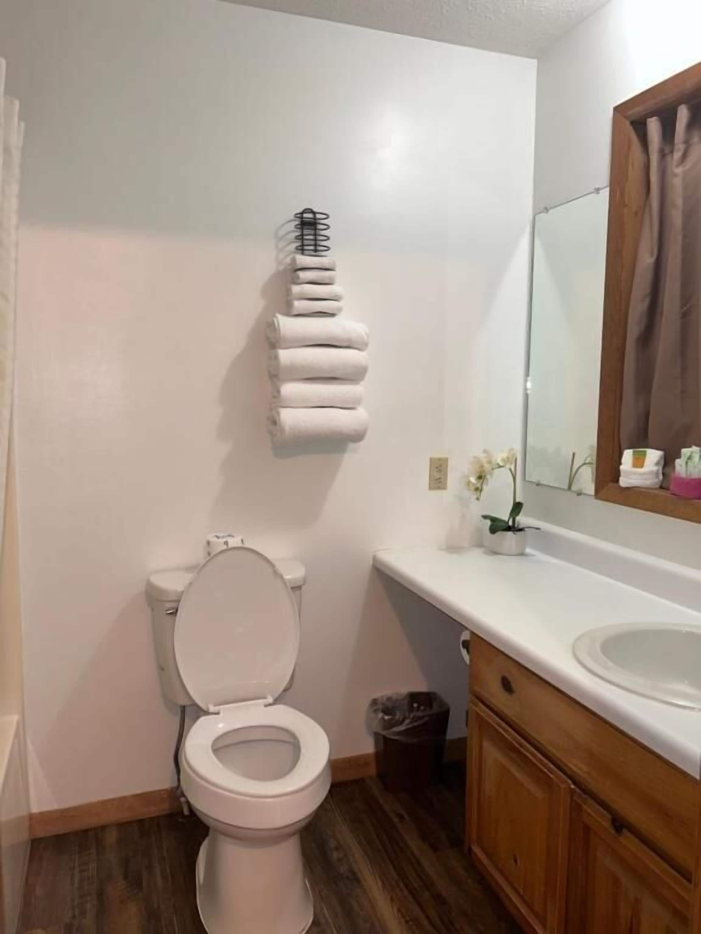 A bathroom with a toilet, a sink, a mirror, and a towel rack.