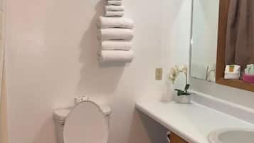 A bathroom with a toilet, a sink, a mirror, and a towel rack.