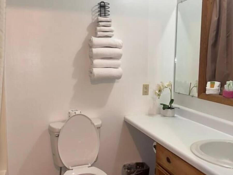 A bathroom with a toilet, a sink, a mirror, and a towel rack.
