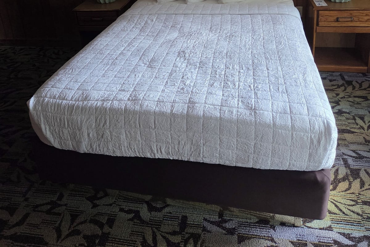 Room, 1 Queen Bed