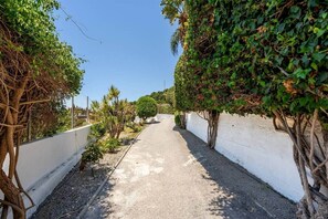 A narrow paved pathway flanked by white walls and lush greenery, leading to a distant building. - Comeback Cortijo Vista Alegre (Motril)