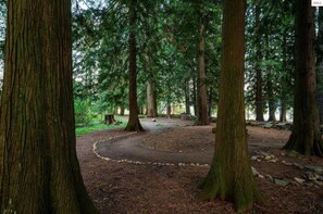Une zone boisée avec un sentier sinueux, de grands arbres et une bordure en pierre.