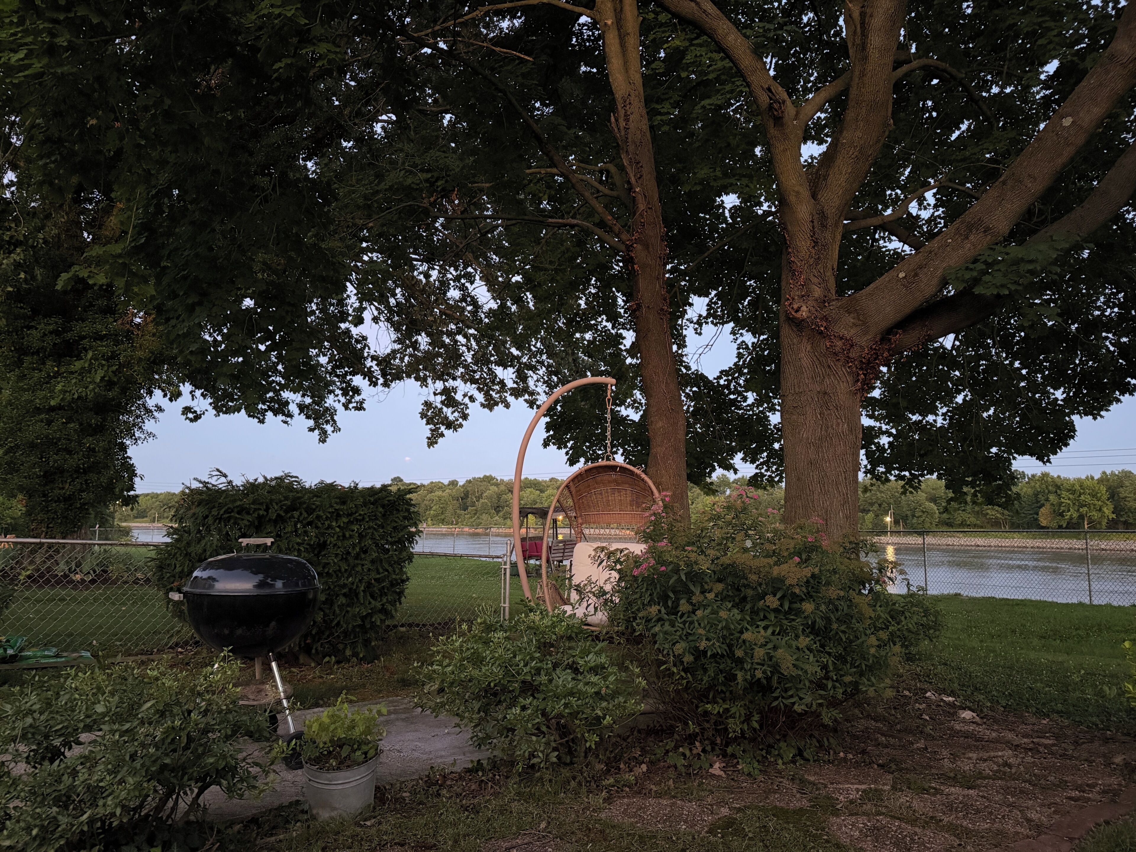 Ein Park mit Grill, Schaukelstuhl und einem großen Baum.
