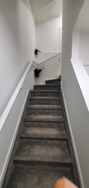 Eine Teppich-ausgelegte Treppe mit weißen Wänden und einer Handlauf.