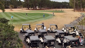 Ein Golfplatz mit mehreren Golfcarts, die auf einem Parkplatz stehen, umgeben von Bäumen und einem bewölkten Himmel.