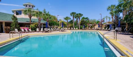A rectangular swimming pool with a tiled edge, surrounded by lounge chairs and palm trees.