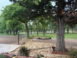 A landscaped outdoor area with trees, a paved path, and decorative lights.