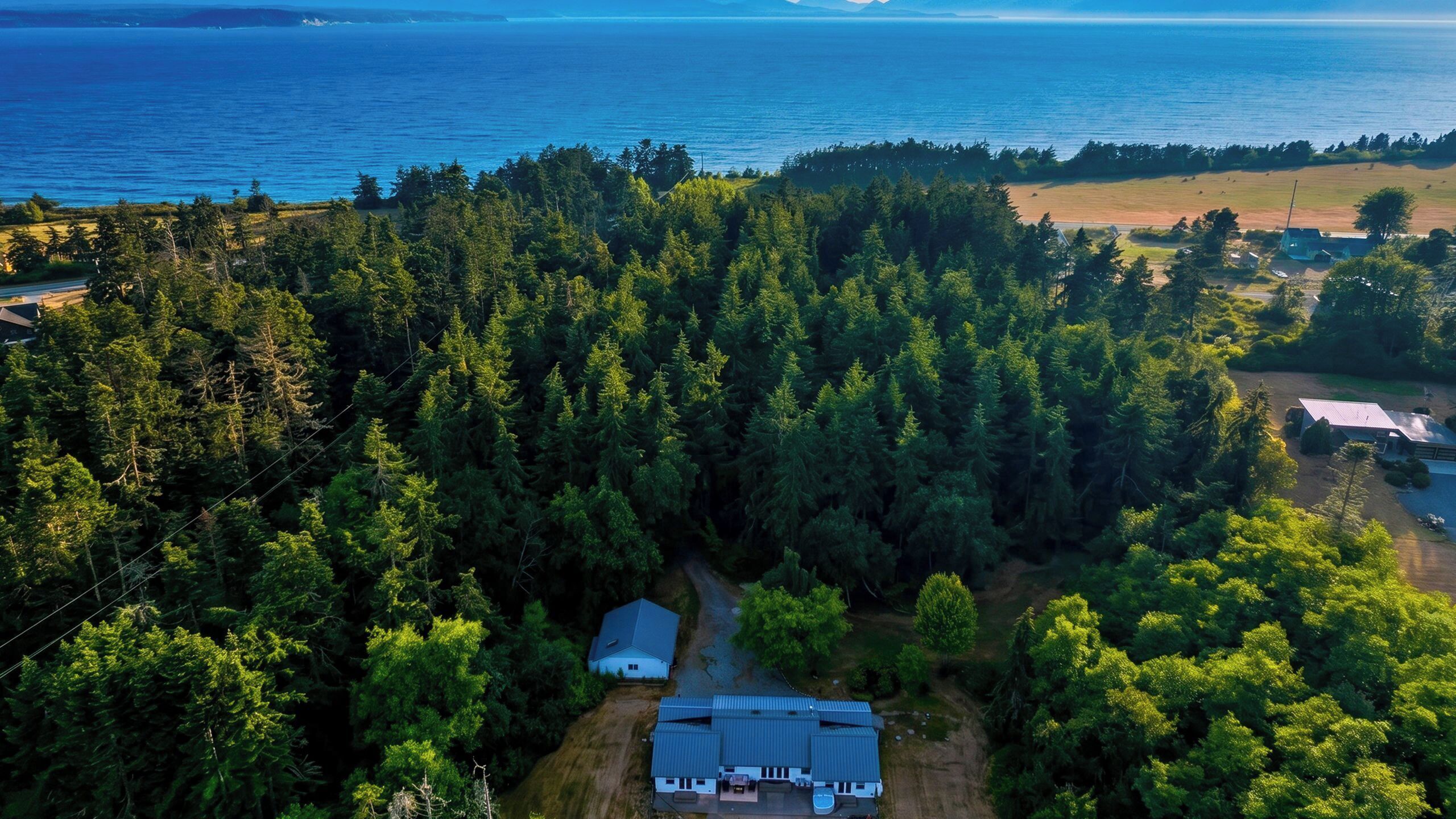 An aerial view of a forested area with a house featuring a large garage and a small porch.