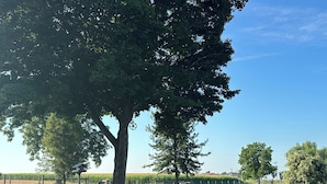 A tree-lined park with a gravel path, benches, and a fence enclosing a field. - The Good Neighbor’s Loft (Orrstown)